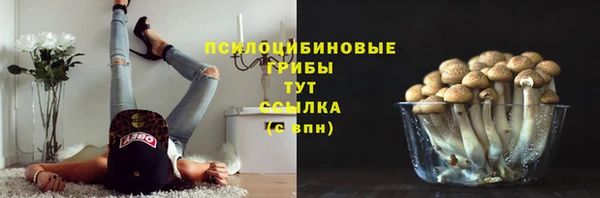 apvp Балахна
