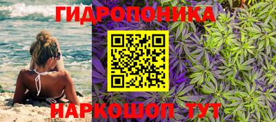 мяу мяу мука Новозыбков